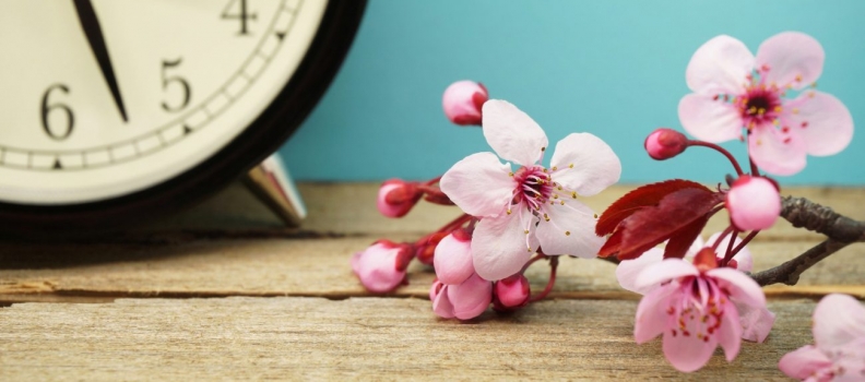Identify and Avoid Office Time-Wasters
